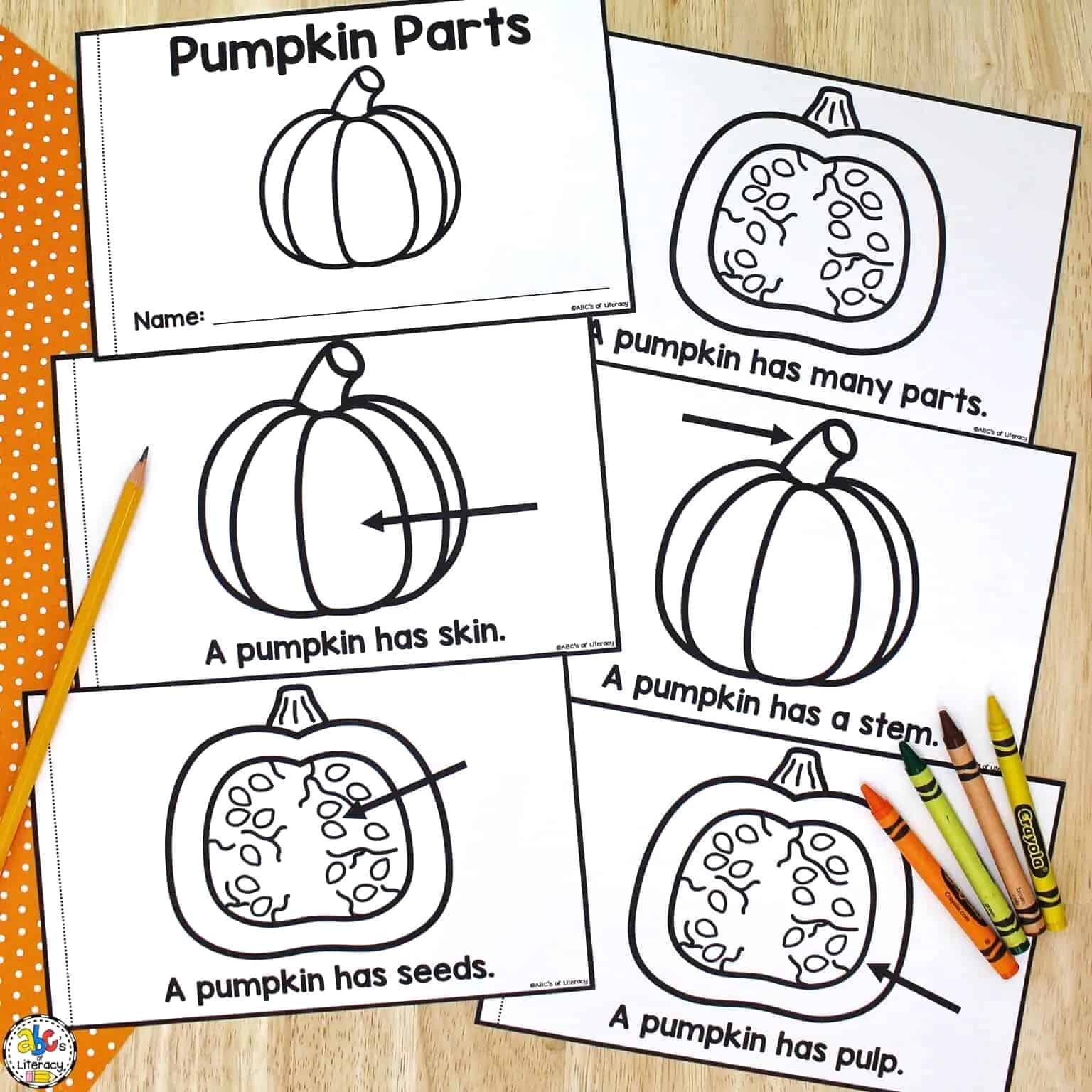 Parts of a Pumpkin Book for Emergent Readers