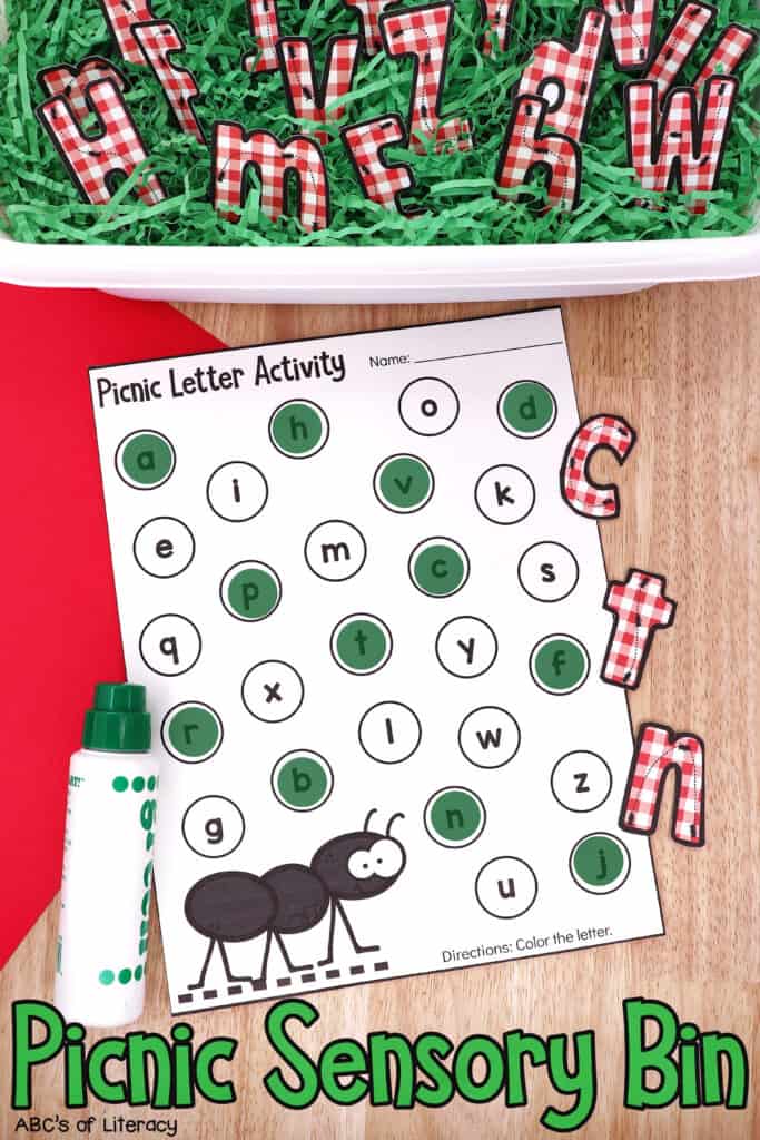 Letter recognition activity 