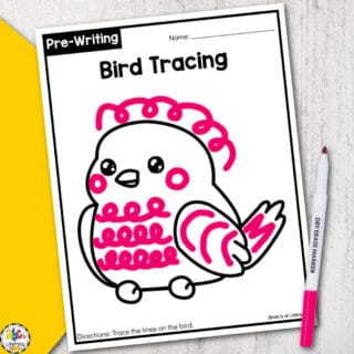 Bird Tracing Worksheets for Preschool